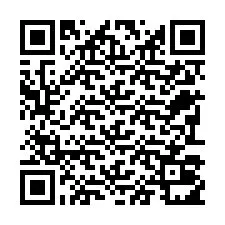 电话号码二维码 +22793011161
