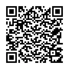 电话号码二维码 +22793011163