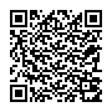 电话号码二维码 +22793011201