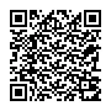 电话号码二维码 +22793011211
