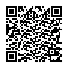 电话号码二维码 +22793011234