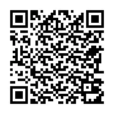 QR-код для номера телефона +22793011236