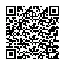 QR kód a telefonszámhoz +22793011240