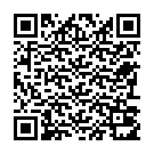 电话号码二维码 +22793011246