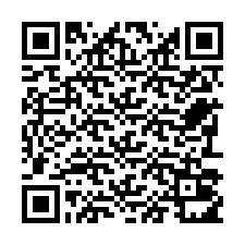 电话号码二维码 +22793011247