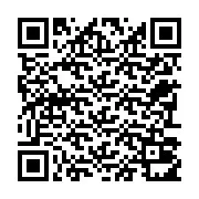 电话号码二维码 +22793011269