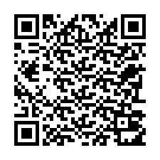 电话号码二维码 +22793011279