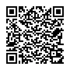 电话号码二维码 +22793011287