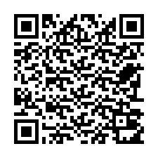 电话号码二维码 +22793011297
