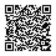 QR-code voor telefoonnummer +22793011303