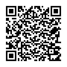 QR kód a telefonszámhoz +22793011313