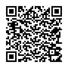 Codice QR per il numero di telefono +22793011316