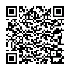 Codice QR per il numero di telefono +22793011330