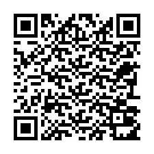 Código QR para número de teléfono +22793011349