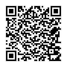 Código QR para número de teléfono +22793011377