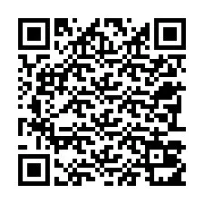 Codice QR per il numero di telefono +22793011438