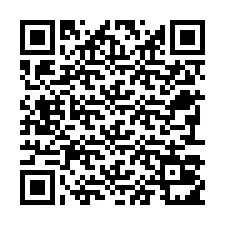 QR-код для номера телефона +22793011480