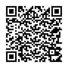 電話番号のQRコード +22793011654