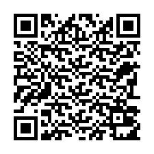 电话号码二维码 +22793011661
