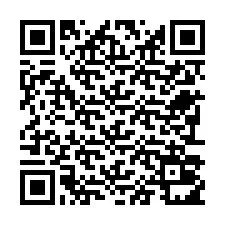 电话号码二维码 +22793011696