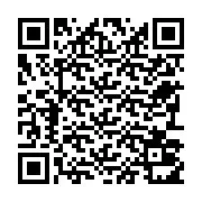 电话号码二维码 +22793011706