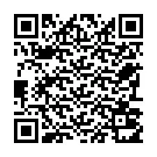 Codice QR per il numero di telefono +22793011743