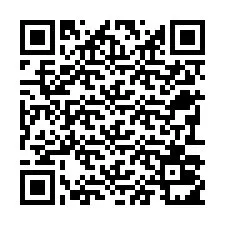 QR Code for Phone number +22793011750