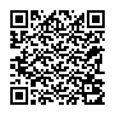 电话号码二维码 +22793011761