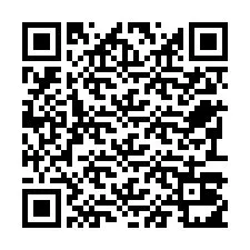 QR Code for Phone number +22793011813