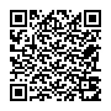 电话号码二维码 +22793011877