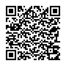 电话号码二维码 +22793011914