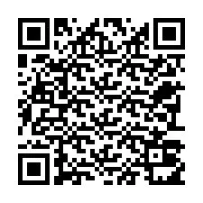电话号码二维码 +22793011939