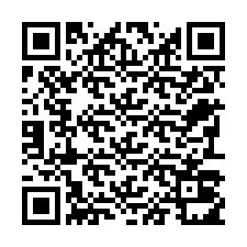 电话号码二维码 +22793011941
