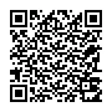 電話番号のQRコード +22793011971