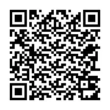 Codice QR per il numero di telefono +22793011979