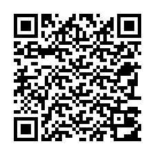 QR-code voor telefoonnummer +22793012090