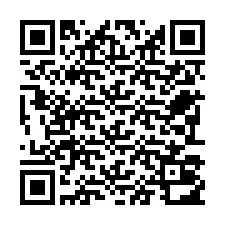 Código QR para número de telefone +22793012133