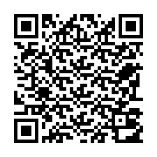 QR Code pour le numéro de téléphone +22793012173