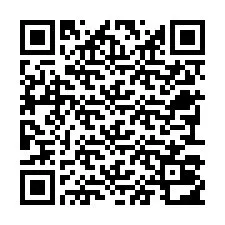 Kode QR untuk nomor Telepon +22793012188