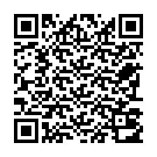 QR-код для номера телефона +22793012193