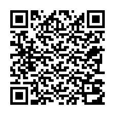 QR код за телефонен номер +22793012199