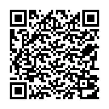 Codice QR per il numero di telefono +22793012253