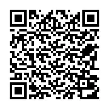 QR-код для номера телефона +22793012273