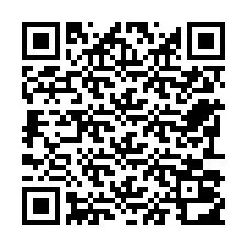 Kode QR untuk nomor Telepon +22793012317