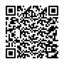 QR-код для номера телефона +22793012331