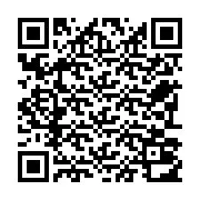 Código QR para número de teléfono +22793012333