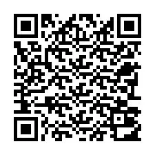 Código QR para número de telefone +22793012338