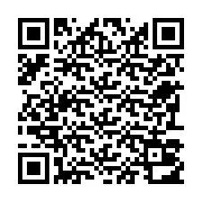电话号码二维码 +22793012456
