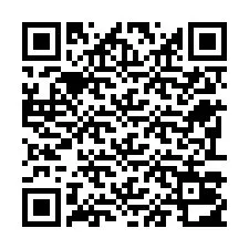 QR-код для номера телефона +22793012462