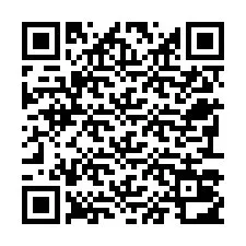 Codice QR per il numero di telefono +22793012484